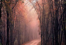 NG28-南宫28：“我对中国足球的热爱永远都在”，昨晚北京国安为于大宝举行退役仪式北京广播电视台.