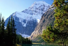 小申带的挺好的!申台龙带印尼0比0战平澳大利亚,对沙特1胜1平.